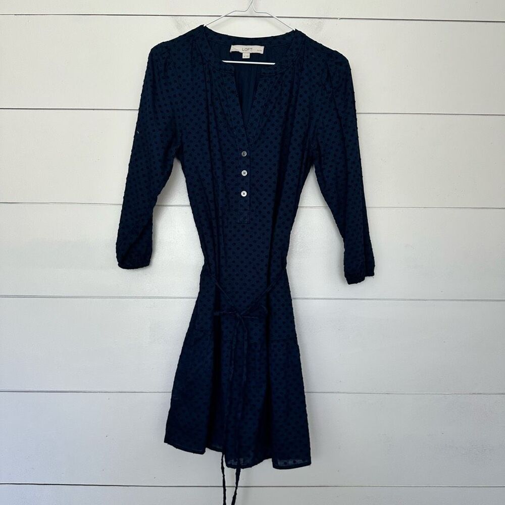 Ann Taylor Loft Women’s Small Swiss Dot Dress